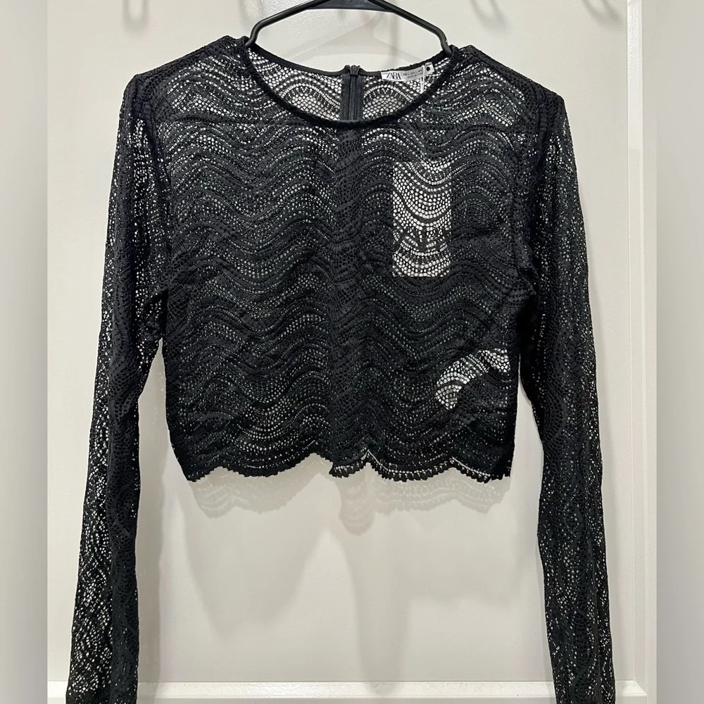 NWT Zara Wavy Lace Scallop Hem Sheer Knit Long Sleeve Crop Top (size L)